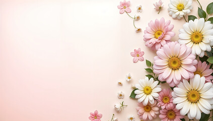 Fototapeta premium Daisies on pink background. Floral background, frame. Flowers on pink with space for text
