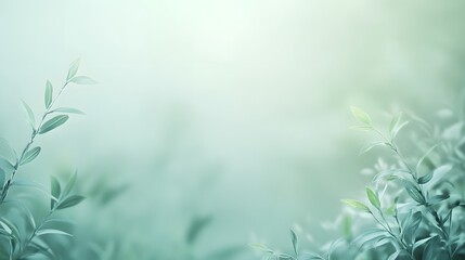 Soft Green Leaves Blurred Background