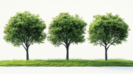 Obraz premium Three Green Trees on a Lawn Generative AI