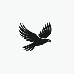 Obraz premium eagle with wings