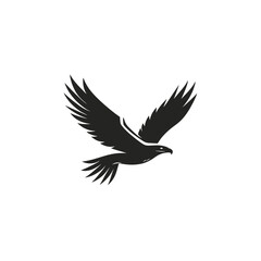 Obraz premium black headed eagle