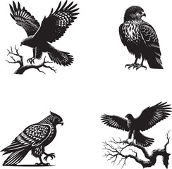 silhouette of clean vector of  Night Hawk isolated on white background