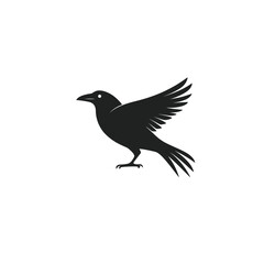 Obraz premium Crow Vector isolated