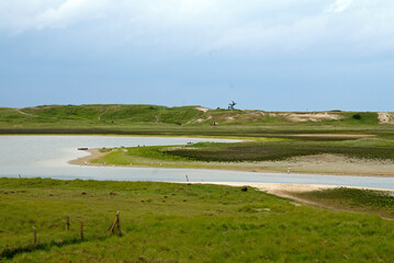 Réserve naturelle du Zwin, Belgique