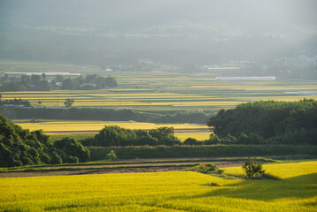 美しい日本の原風景と秋の田んぼの夕暮れ