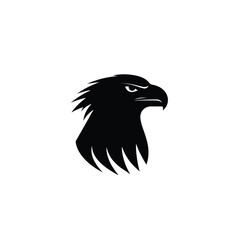 Obraz premium Eagle vector illustration