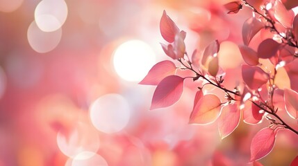 Fototapeta premium pink autumn background