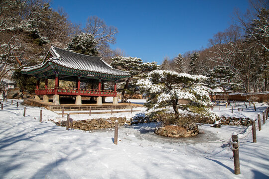 Yongin-si, Gyeonggi-do, South Korea - February 04, 2021: Snow covered tiel roof pavilion and pine tree on pond at Korean Folk Village