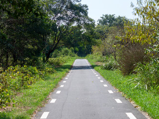 Obraz premium 新緑に覆われた石川リバーサイドサイクルライン