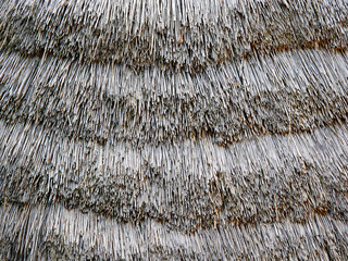 Fragment of an ancient thatched roof. Roofing of a building made of natural material. Texture