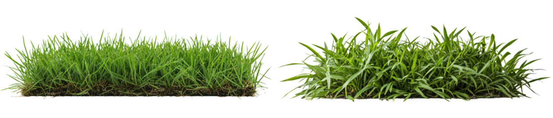 Obraz premium Set of Lush green grass patches ideal for landscaping, gardening isolate on transparent backgound, png, cutout