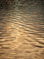 Calm water in evening light. Texture or background