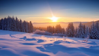 Winter dawn over snowy landscape