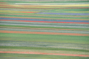 Tavolozza di colori a Castelluccio