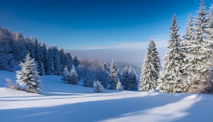 Fototapeta premium Snowy scene with distant trees