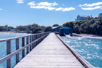 Obraz premium Bayside Bliss: Devonport’s Iconic Pier