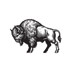Obraz premium Bison Logo Clipart - bison Vector Illustration in black and white 