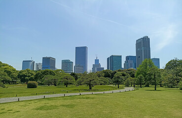 Obraz premium Hamarikyu Gardens surrounded by skyscrapers of Shiodome Section in Tokyo, Japan