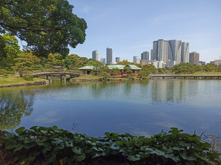 Hamarikyu Gardens surrounded by skyscrapers of Shiodome Section in Tokyo, Japan