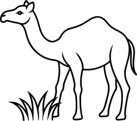 Fototapeta premium Camels and Grass Creative Fun with Activities for Children 