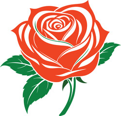 Rose flower vector isolate