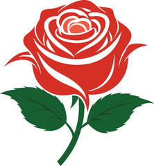 Rose flower vector isolate