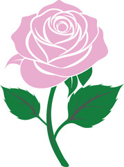 Rose flower vector isolate