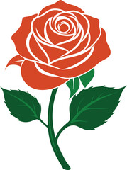 Rose flower vector isolate