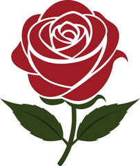 Rose flower vector isolate