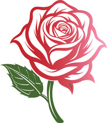 Rose flower vector isolate