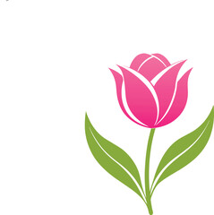 tulip flower vector isolate