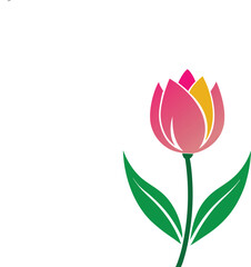 tulip flower vector isolate