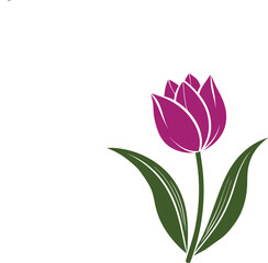 tulip flower vector isolate