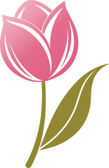 Tulip flower vector isolate