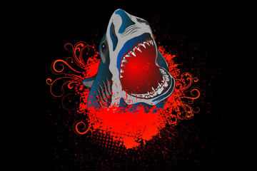 illustration of a shark