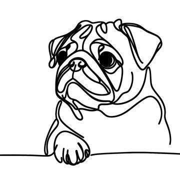 recommend clip art: Close-up portrait of Pug dog in a line drawing style