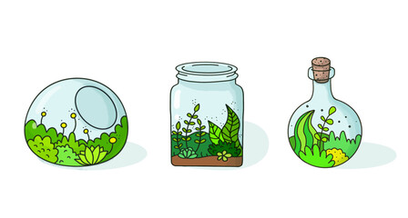 There are three distinct and interesting types of terrariums that contain various plants within them, each having its unique characteristics