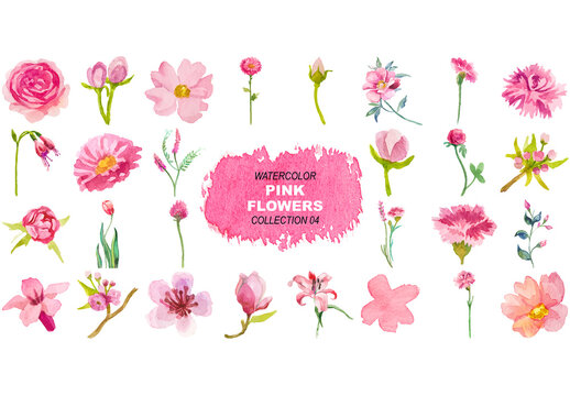 Vector watercolor painted pink flowers clipart. Hand drawn elements isolated on white background
