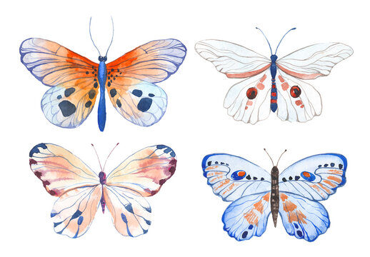Vector illustration of watercolor butterflies isolated on white background
