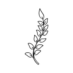 illustration of a vertical branch with multiple leaves.