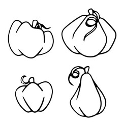 Outlined pumpkin outline, pumpkin doodle on white background, pumpkin line art, pumpkin food. Vector illustration.