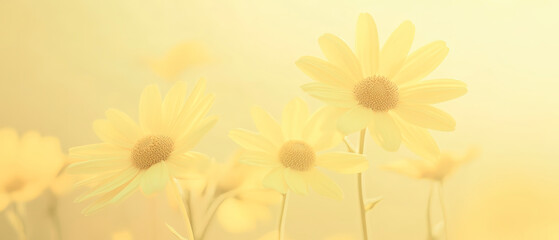 Obraz premium A group of pale yellow daisies against a soft, yellow background. The flowers are in a dreamy style with delicate petals and visible center disks. Generative AI