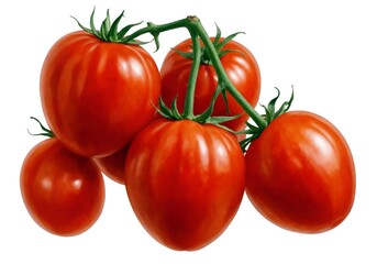 Tomato on branch, isolated on white background, full depth of field, Artisitic painting not photography