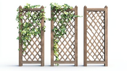 Wooden Garden Trellis with Green Ivy.