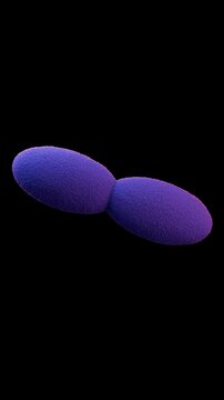 Acetobacter bacteria 3d animation video