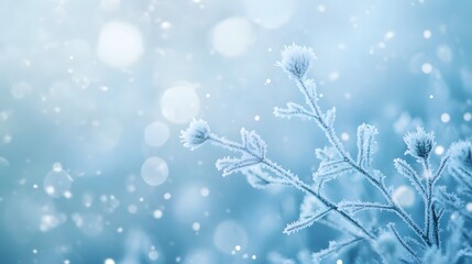 Frozen Branch with Snowflakes and Bokeh