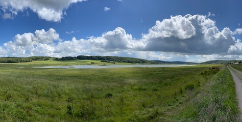 Obraz premium landscape with grass and blue sky