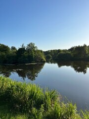 reflection of trees in the lake