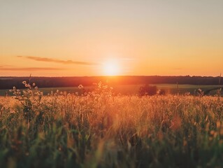 sunset over the lake