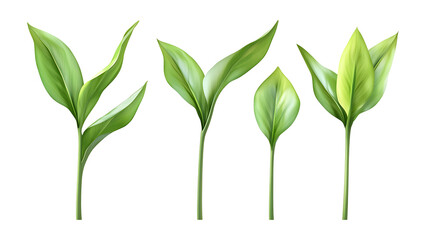 Obraz premium Four green leaf on a transparent background,Four Lily of the valley Leaf Isolated,Four Tropical Plant Leaves,leaf transparent png,Decoration work, green plants,Four green leafed plants, Ai